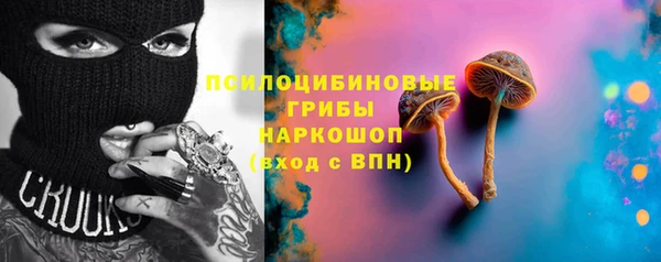 стафф Нефтекумск