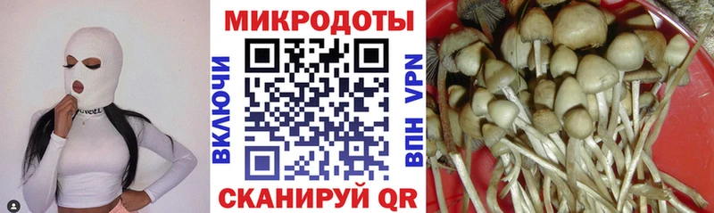 Псилоцибиновые грибы мухоморы  сайты даркнета телеграм  Пикалёво 